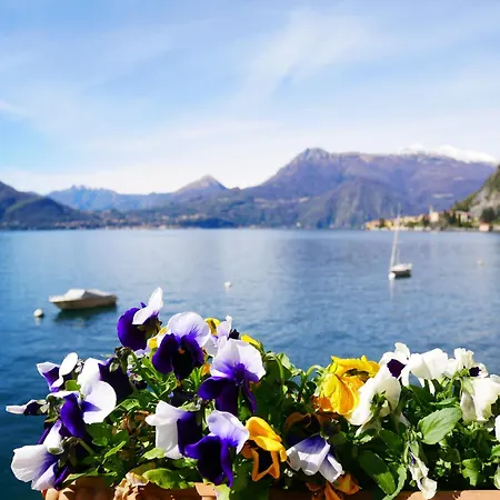 La Riva Appartamento *