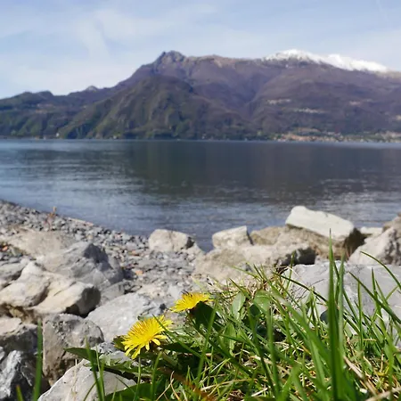 La Riva Appartamento Perledo